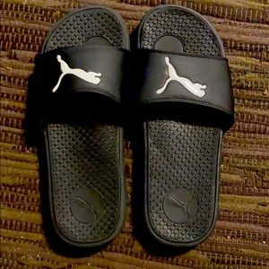 Puma slides